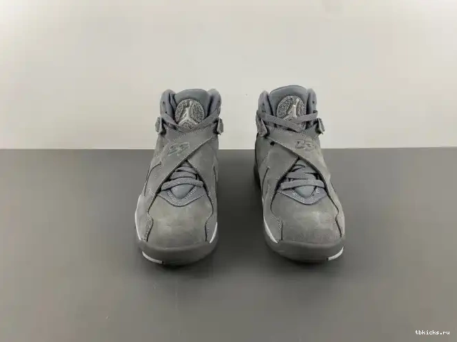 Reps TB Jordan Grey 305381-014 Retro Cool 8 0223